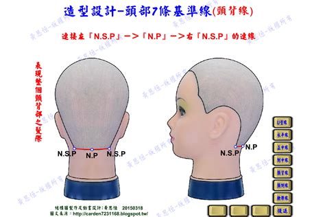 頭部七條基準線|頭型七條基準線雙旋真人示範